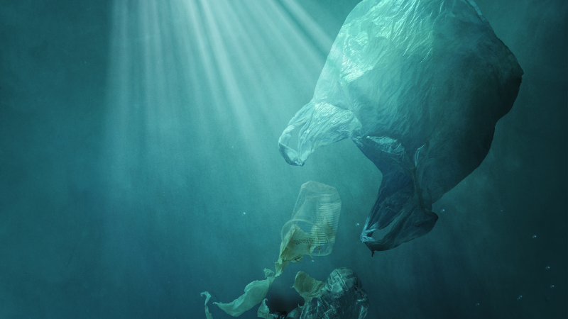 picture of plastic bag in the ocean - motivation to reduce single use plastics